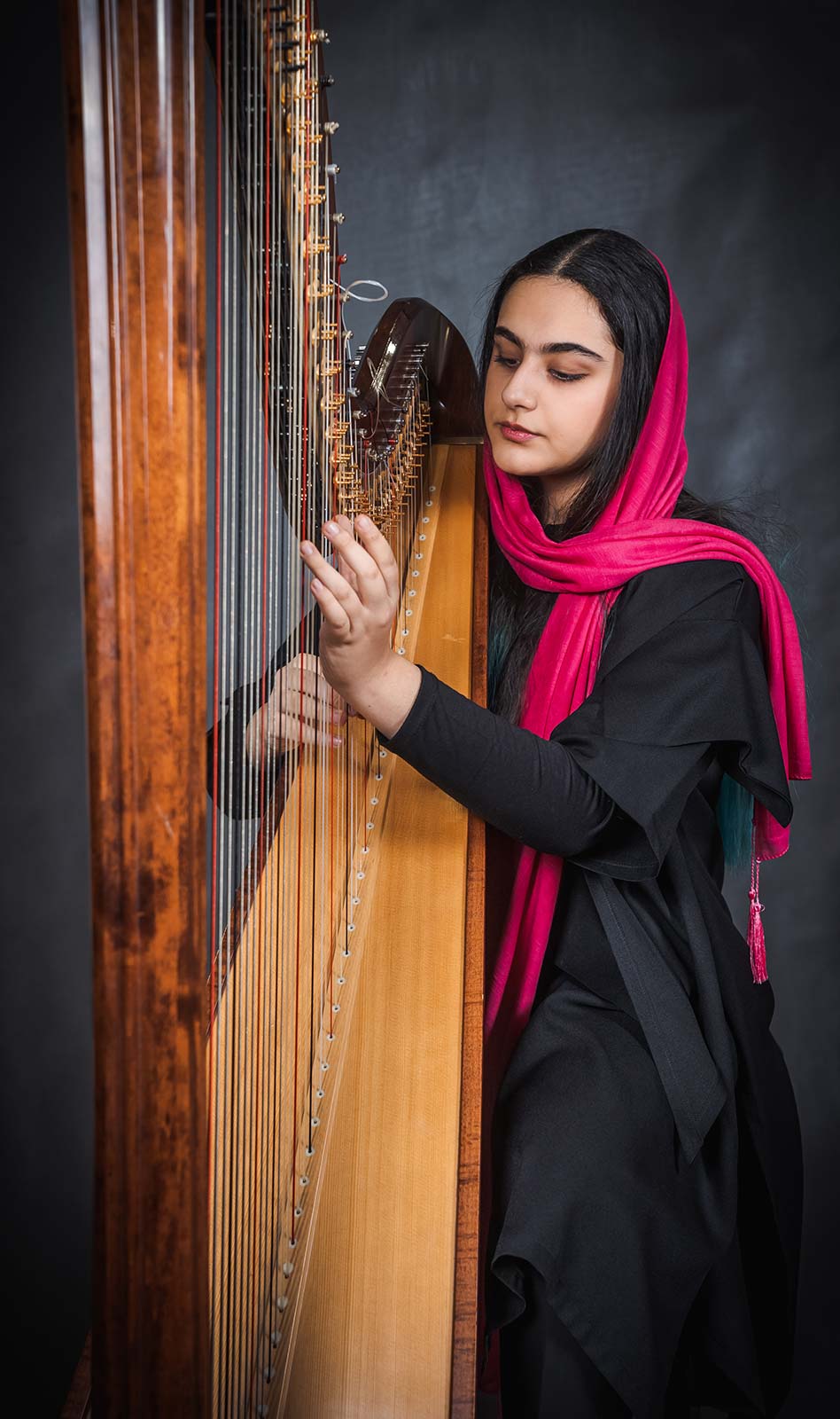 آموزشگاه موسیقی پارس - دیبا والی